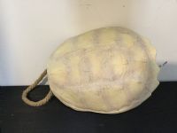 CAI Sale Item